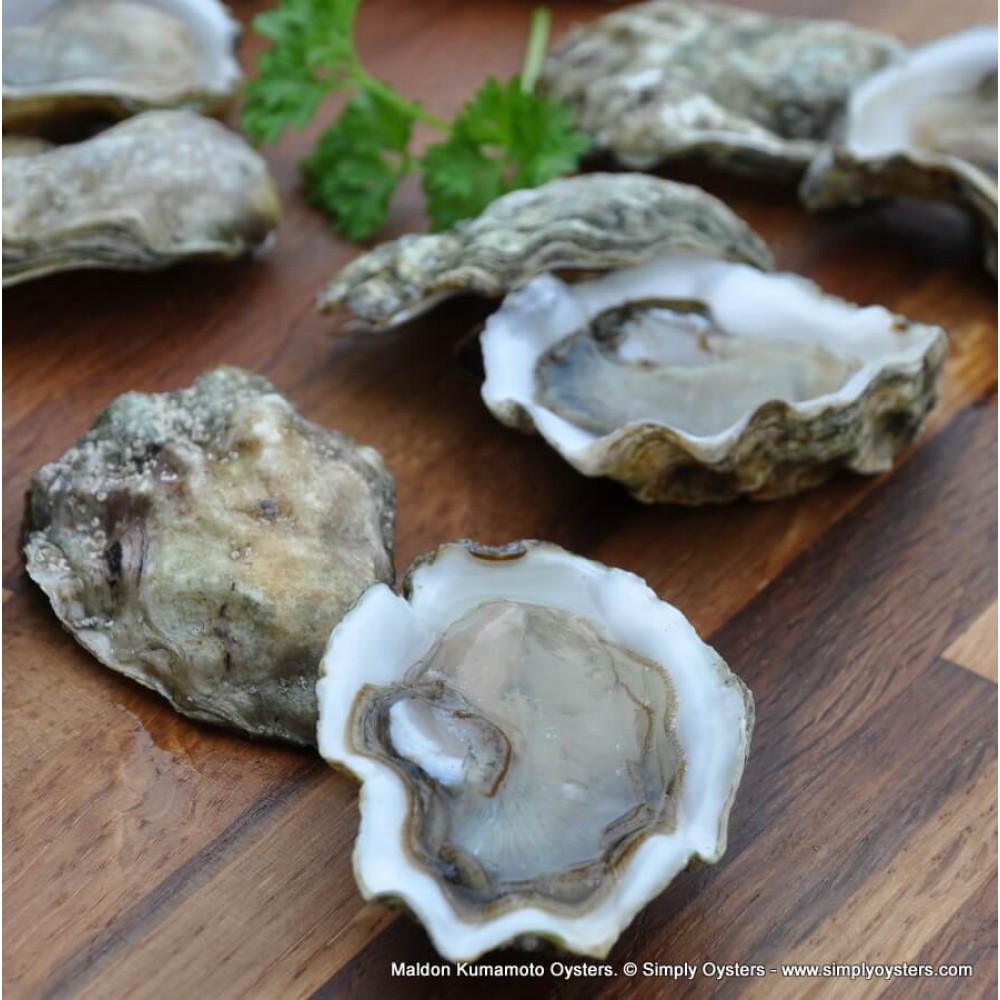 Maldon Kumamoto Oysters Buy Online UK Delivery Simply Oysters